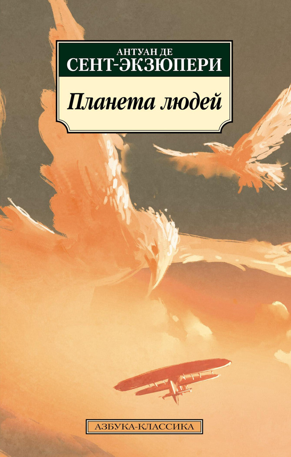 Buch Антуан де Сент-Экзюпери Планета людей